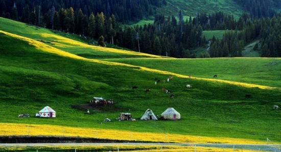 最近韩国日本免费观看 日本但完整版往往需要会员