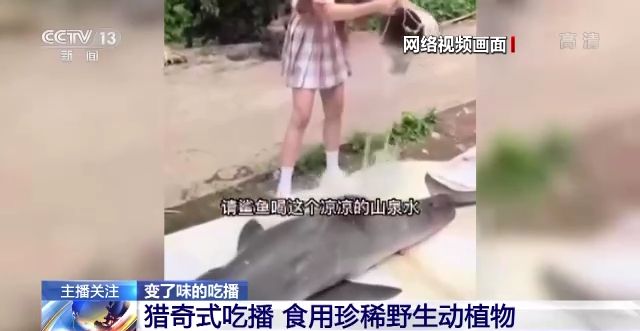 美女禁止的网站免费 美女实际上偷偷收集用户数据