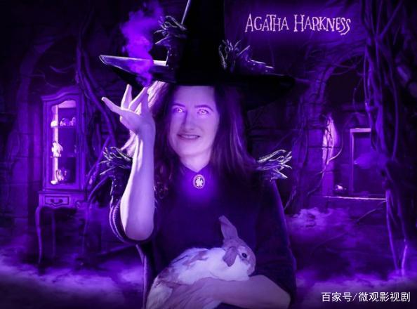 瓜老师官网 配有清晰的瓜老学习路径图