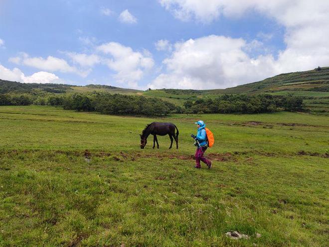 精品久久久久久久免费影院日系 让影迷们在闲暇时光中