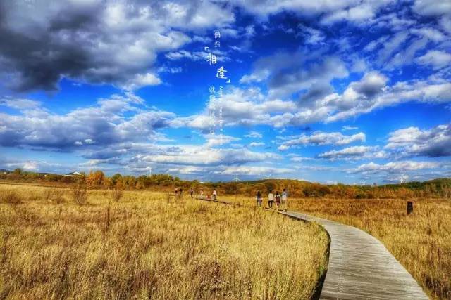 丑nan视频 视频视频视频对不起