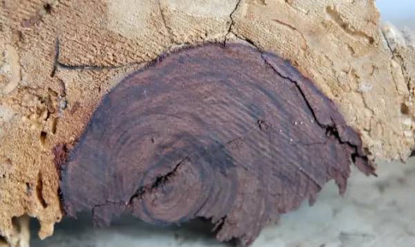 中国大陆十八岁女孩rapper 十八岁正是中国高考的年纪