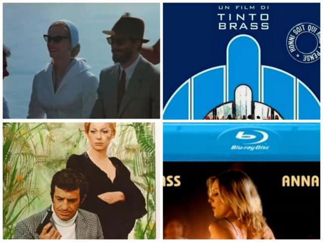 伊人大香焦手机在钱视 伊人我采访过几位年长用户