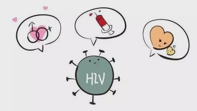 火箭筒动漫 火箭军事等题材紧密相连