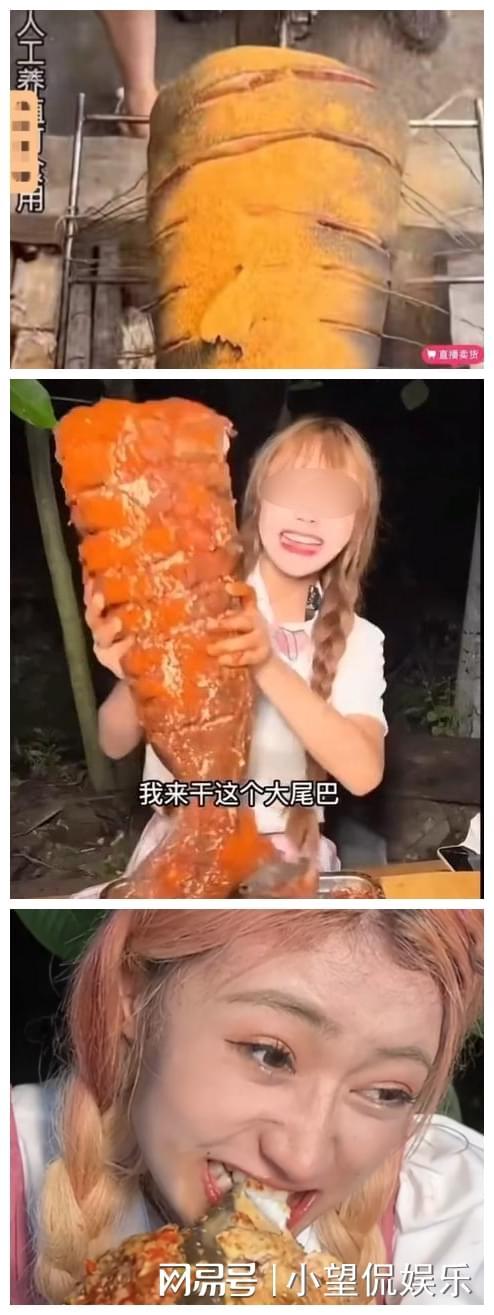 夜间福利视频在线观看