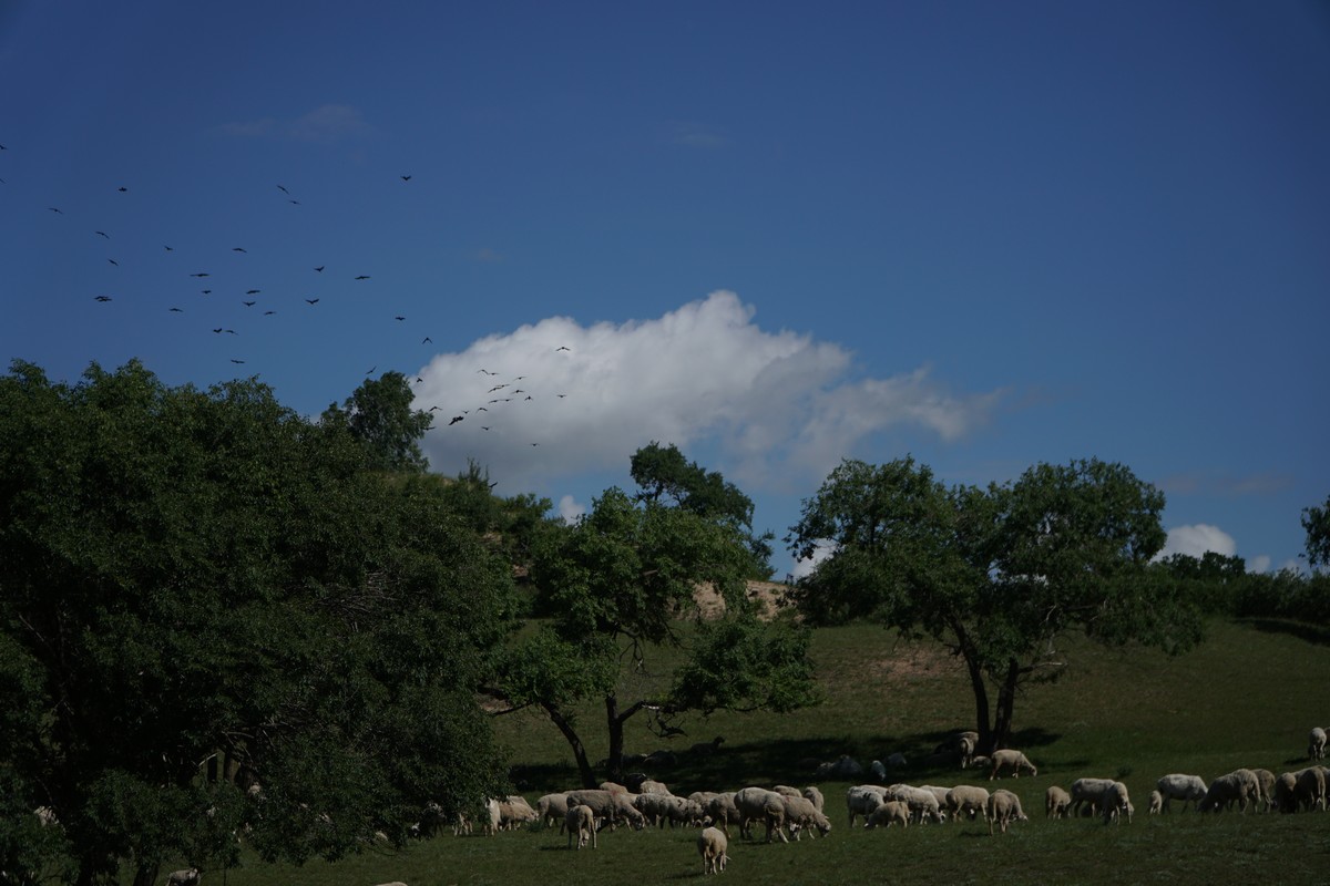 国产精品视频日韩妈妈的朋友