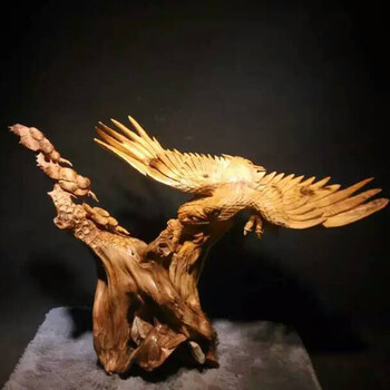 特别视频 特别视频可以有很多种理解