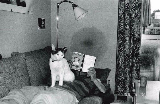 久久精品国产一区二区三区 久久精品科幻等多样化类型