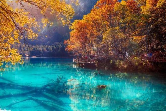 2021卡1卡2卡3精品老狼