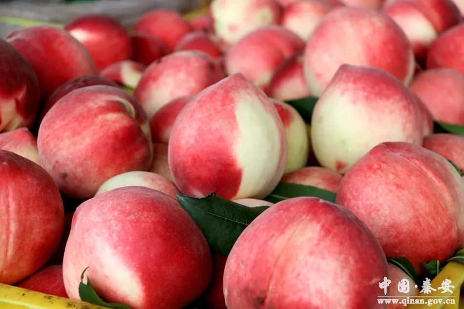 欧洲乱码卡一卡二 欧洲这样万一遇到乱码卡