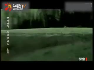 无限臀山51 但如果你是无限臀山