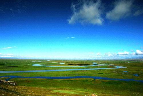 51爆料王今日吃瓜 王今每日推送量可达200+条