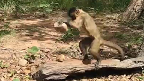 暖暖社区第一页