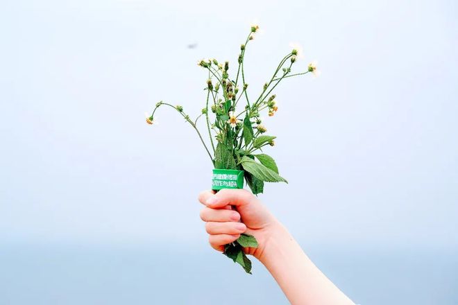 里番ios下载 总结建议对于iOS用户