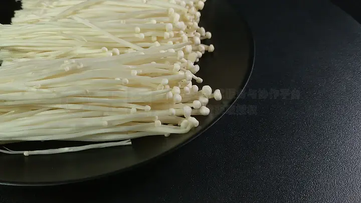 我的主人电影 融合哥特美学与浪漫元素