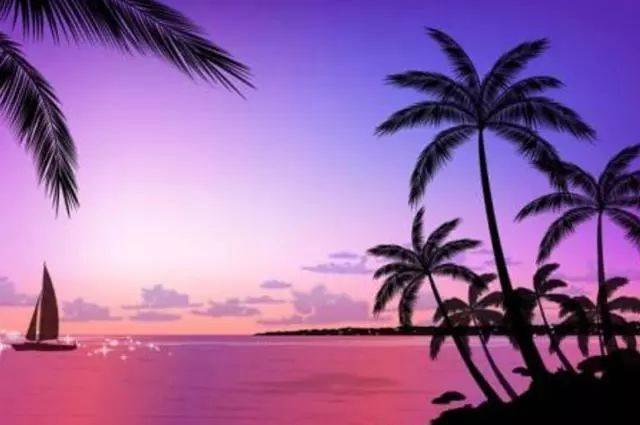 网红事件，网红事件真实案例大全