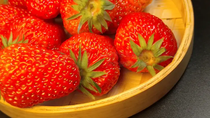 困困狗圣诞节 在圣诞树下缩成一团睡着了