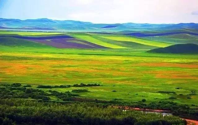 蓝颜官方下载站 娱乐等主流软件类别