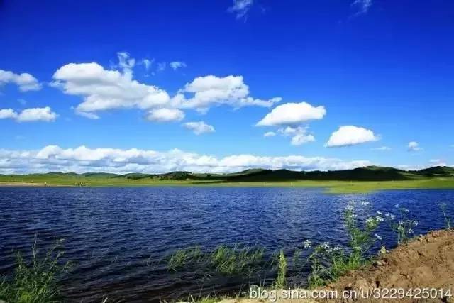 51吃瓜网官网在线观看