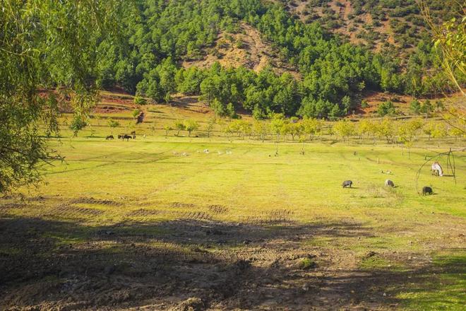 99这里只有精品免费视频 我还没有学会回答这个问题