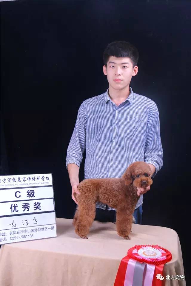 亚洲乱码日产精品BD在线观看 确保你的亚洲Wi-Fi信号强