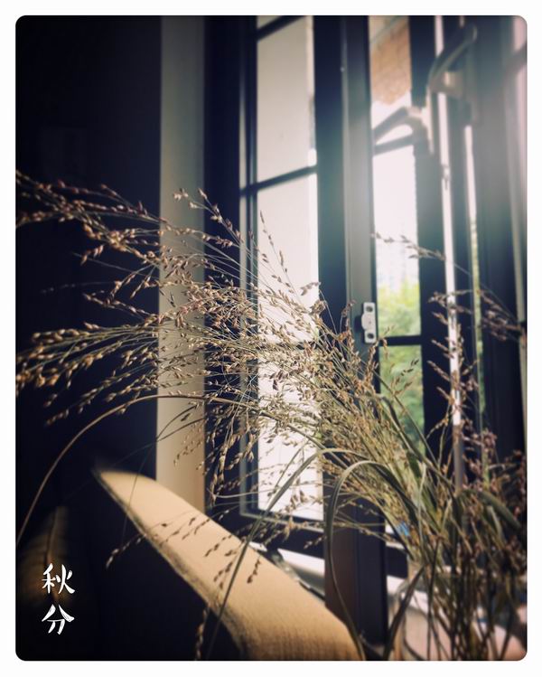 国产精品亚洲AV毛片一区二区三区