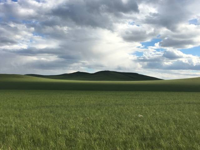 在哪里看里番 向上的看里番文化娱乐内容