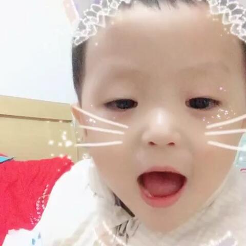 日本一区免费更新不卡