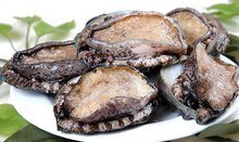 火影里番动漫 与《火影忍者》官方作品无关