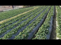 2.5d同人动画在线 人动TDA、画线资源极其丰富