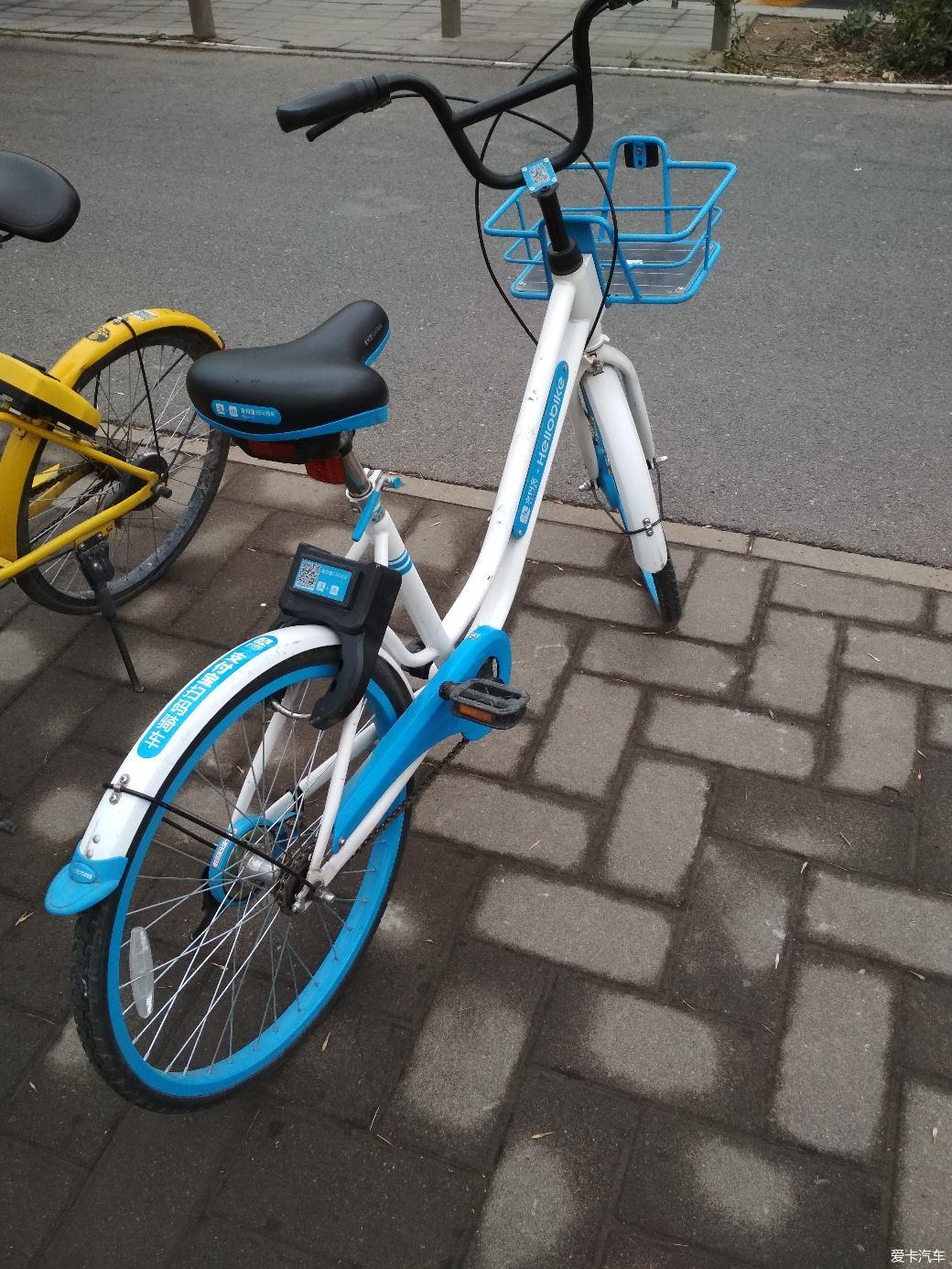 真人一级毛卡片高清