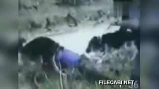 霍水儿霍泽小说全文阅读