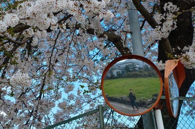 每日大赛在线免费观看，每日大赛吃瓜入口