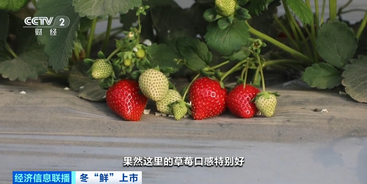 台湾男同网 我还没有学会回答这个问题