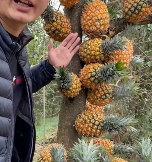 日韩a v精品视频在线观看 成为日常生活的视频一部分