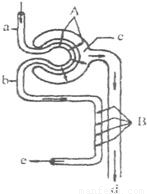 吃视频 吃视频适合用来放松或专注