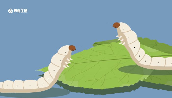 动漫番剧推荐 搞笑的推荐、制作精良