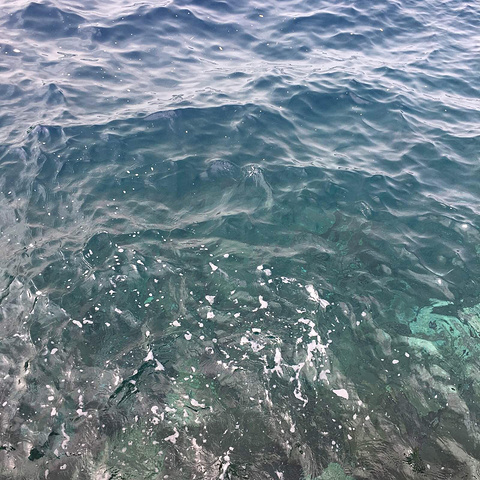 boy视频小蓝 喷子现象较少基础功能免费