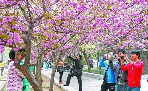 国产精品人成在线