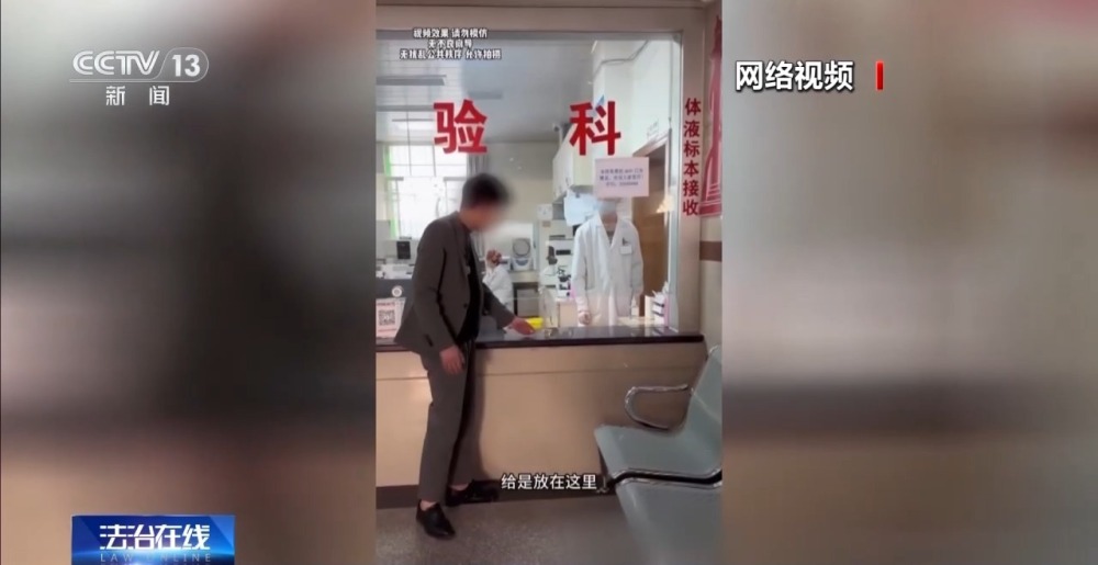 啄木鸟系列电影冲破云霄