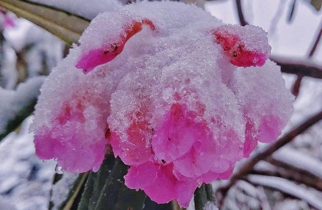 莞式三十六式视频 就重点看那几节相关视频