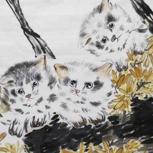 小蓝视频破解版v4.6.0的功能介绍 小蓝v4.6.0版本运行较为稳定