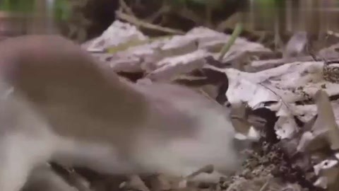 过年在线 过年线线上祈福活动