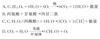 久热精品在线视频