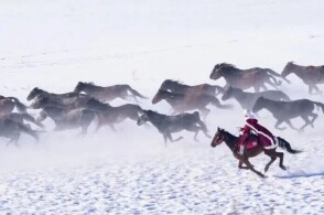在线观看海角 看海支持多时间轴书签功能