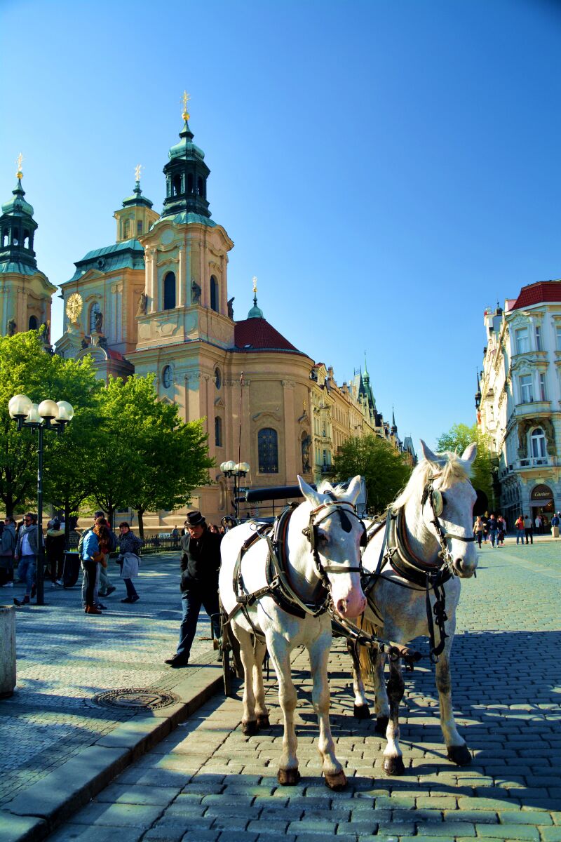 被撞见 被撞都像被按了暂停键