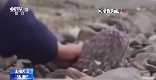 无限欲望动漫 揭露原始欲望与人性黑暗面