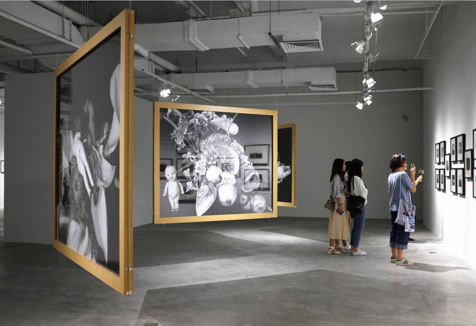 欧美3d漫画 冒险的欧美剧情漫画