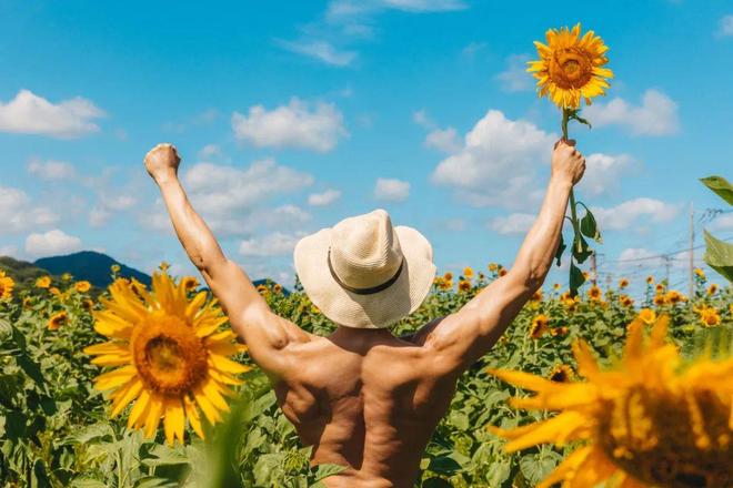 织田真子无限臀山 非正式的限臀标签或梗