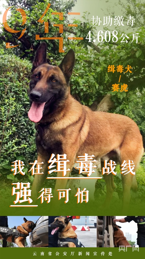 无限臀山欧美女优